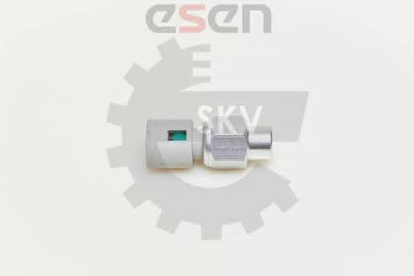 Buy Esen SKV 95SKV200 at a low price in United Arab Emirates!