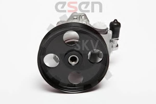 Hydraulic Pump, steering system Esen SKV 10SKV004