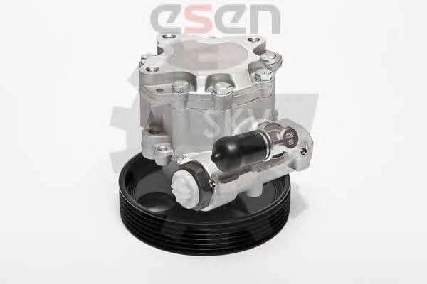 Hydraulic Pump, steering system Esen SKV 10SKV004