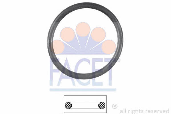 Facet 7.9533 Termostat gasket 79533