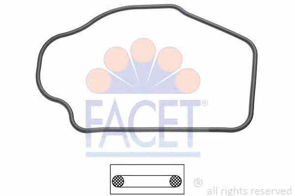 Facet 7.9552 Thermostat O-Ring 79552