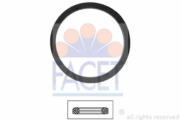 Facet 7.9556 Thermostat O-Ring 79556