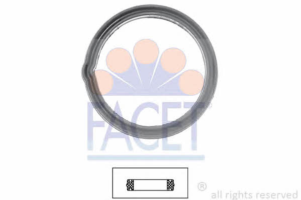 Facet 7.9608 Termostat gasket 79608