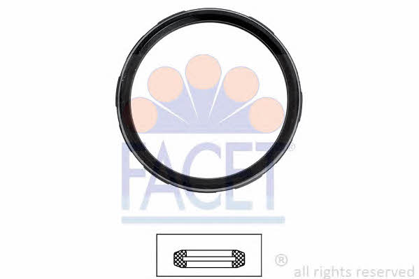 Facet 7.9722 Thermostat O-Ring 79722