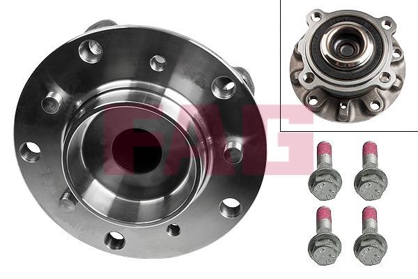 FAG 713 6679 00 Wheel bearing kit 713667900