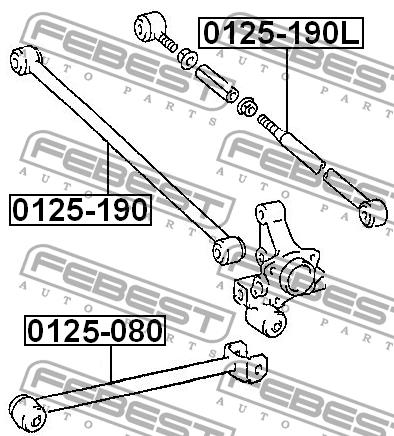 Traction rear transverse adjustable Febest 0125-190L
