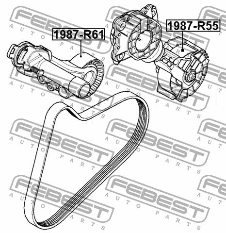 DRIVE BELT IDLER Febest 1987-R55