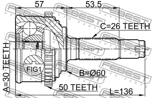 CV joint Febest 0310-CF4A50