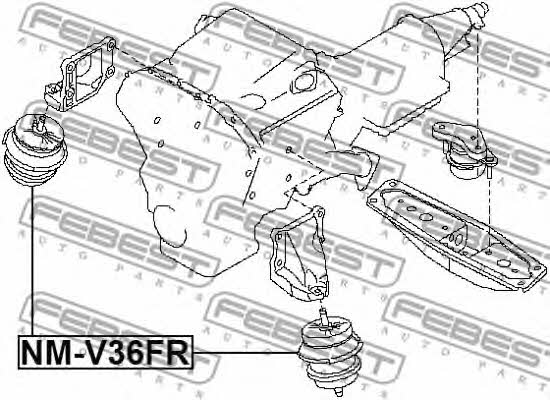 Buy Febest NMV36FR – good price at EXIST.AE!