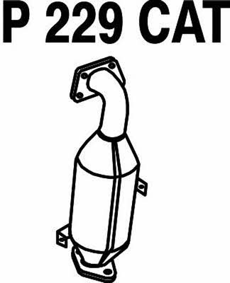 Fenno P229CAT Catalytic Converter P229CAT