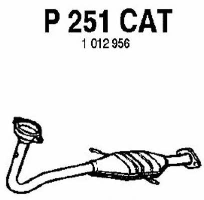 Fenno P251CAT Catalytic Converter P251CAT