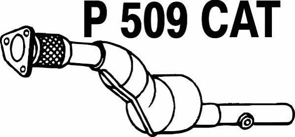 Fenno P509CAT Catalytic Converter P509CAT