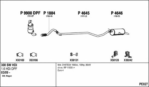  PE827 Exhaust system PE827