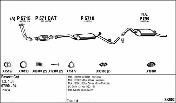  SK003 Exhaust system SK003