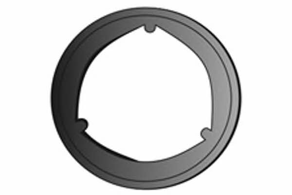 Fenno X75198 Exhaust pipe gasket X75198