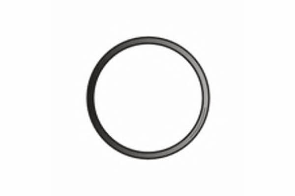 Fenno X75286 Exhaust pipe gasket X75286