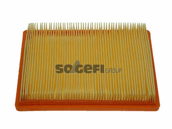 Buy Fiaam PA7439 at a low price in United Arab Emirates!