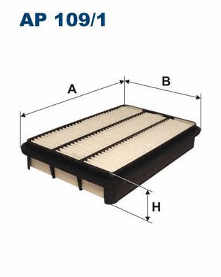 Air filter Filtron AP 109/1