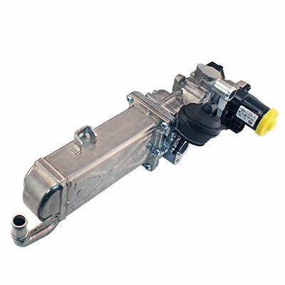 Fispa 83.998 EGR Valve 83998