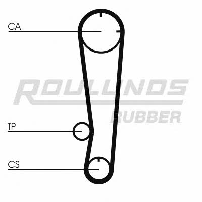 Timing Belt Kit Fomar Roulunds RR1031K2