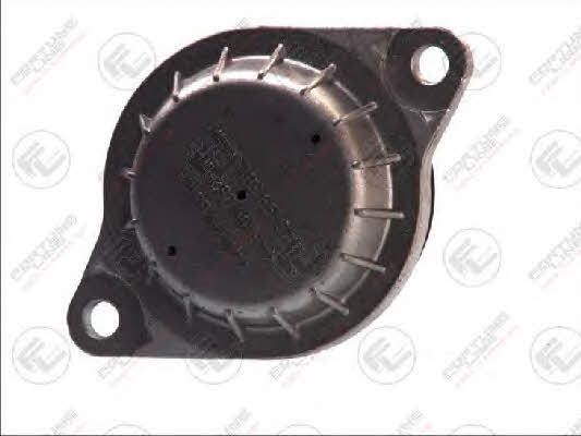 Engine mount left, right Fortune line FZ9873