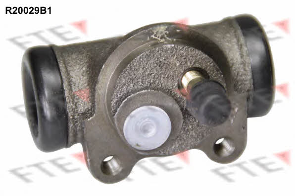 FTE R20029B1 Wheel Brake Cylinder R20029B1