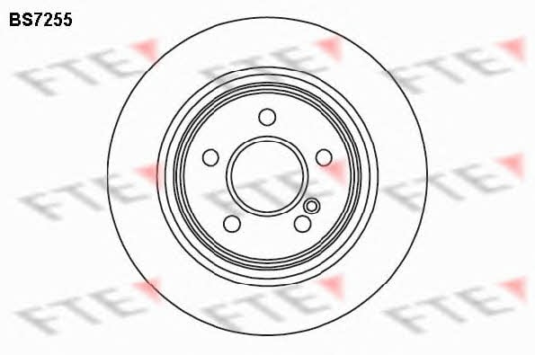 FTE BS7255 Rear ventilated brake disc BS7255