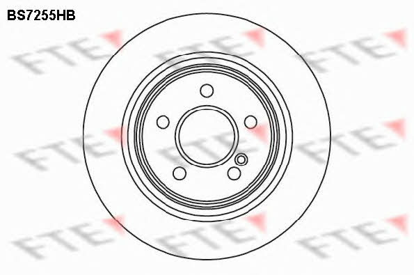 FTE BS7255HB Rear ventilated brake disc BS7255HB