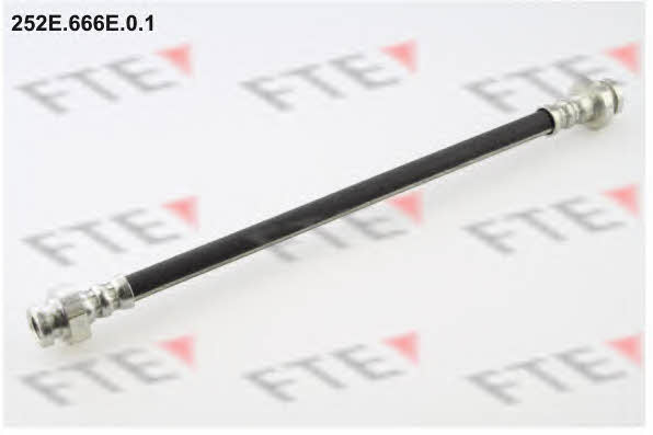 FTE 252E.666E.0.1 Brake Hose 252E666E01