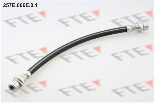 FTE 257E.666E.0.1 Brake Hose 257E666E01