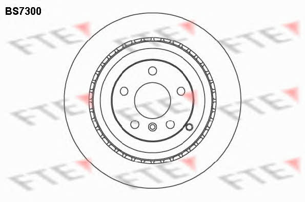 FTE BS7300 Rear ventilated brake disc BS7300