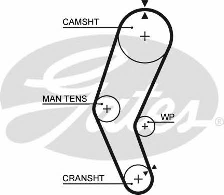 Gates 5272 Timing belt 5272