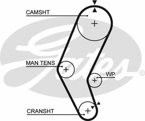 Gates 5401 Timing belt 5401