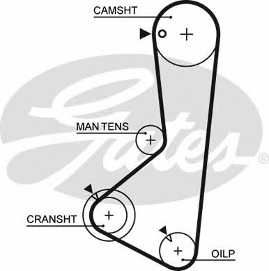 Gates 5256XS Timing belt 5256XS