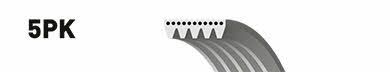 Buy Gates 5PK716SF – good price at EXIST.AE!