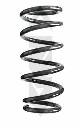 GKN-Spidan 55474 Coil Spring 55474