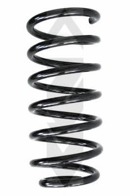 GKN-Spidan 48397 Coil Spring 48397