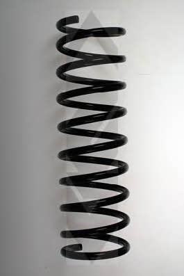 GKN-Spidan 49178 Suspension spring front 49178