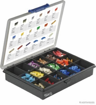 54295011 H+B Elparts Assortment, fuses