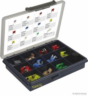 54295570 H+B Elparts Assortment, fuses