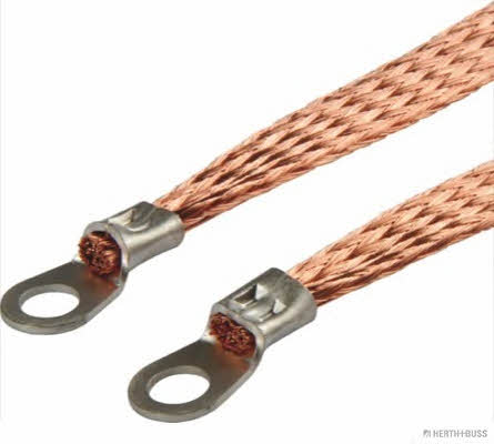 52287504 H+B Elparts Earth Strap