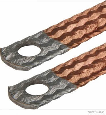 52287834 H+B Elparts Earth Strap