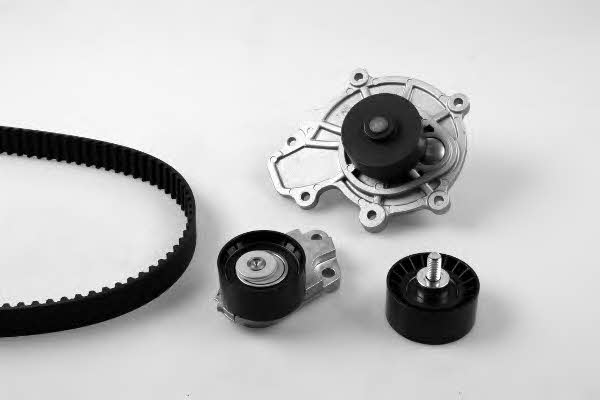 PK03691 Hepu TIMING BELT KIT WITH WATER PUMP