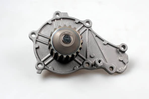 Water pump Hepu P803