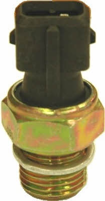 Hoffer 7532025 Oil pressure sensor 7532025