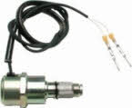 Hoffer 8029031 Injection pump valve 8029031
