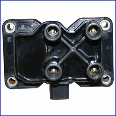 Engine coil pack Ford Kuga: 138808 Huco Ignition coil