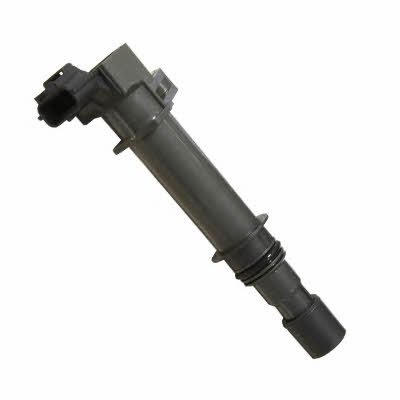 Ignition coil pack Dodge Nitro: 134056 Huco Ignition coil