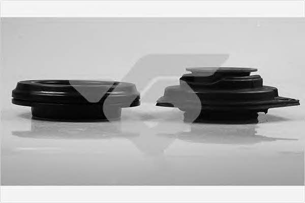 KS202 Hutchinson Strut bearing with bearing kit
