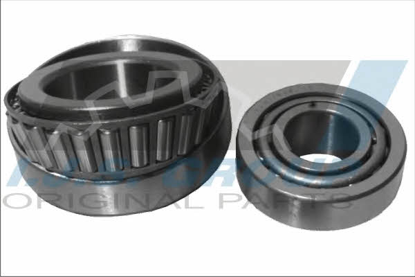 IJS Group 10-1132R Wheel hub bearing 101132R